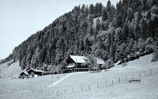 Cartoline postali: SAANEN Foto Schoch Gstaad – Nuovo (secondo la descrizione) da Jona venduto da philajona