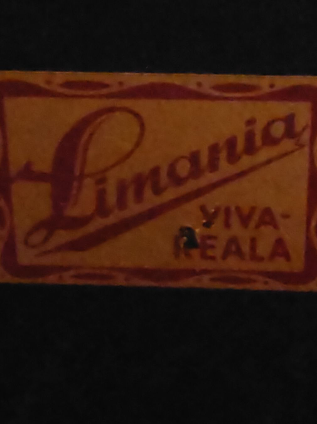 Giradischi: Limania VIVA Reala Koffer Grammophon – Usato da Arnegg venduto da Arnrom 1