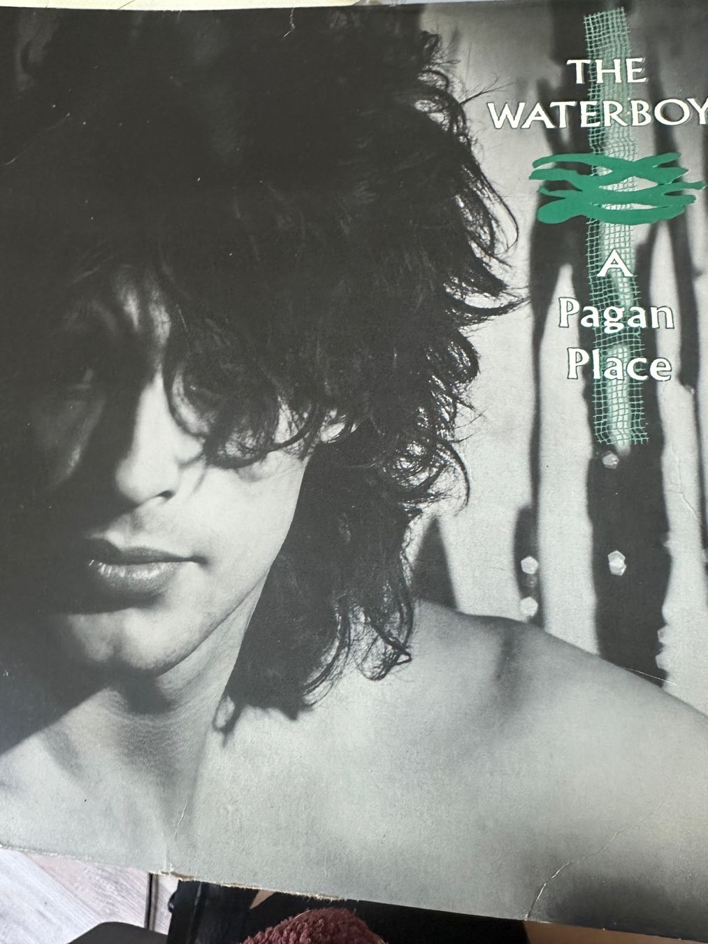 Dischi in vinile: The Waterboys - A Pagan Place – Usato da Füllinsdorf venduto da mar_7rxb