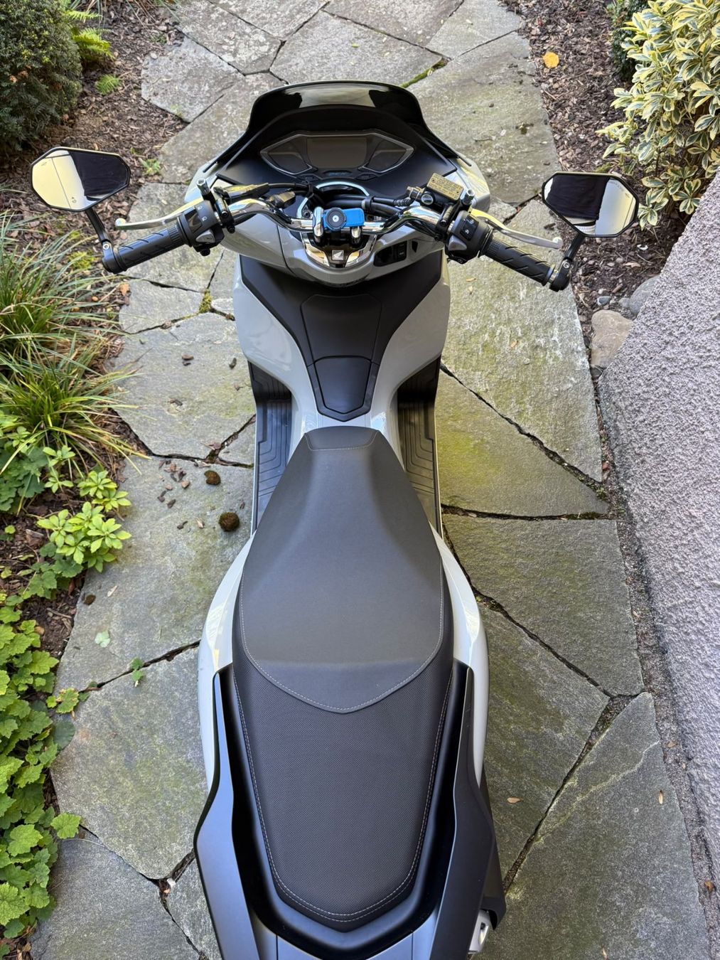 Honda Strada: Honda PCX 125 – Usato da Zürich venduto da mai_nv8g 3
