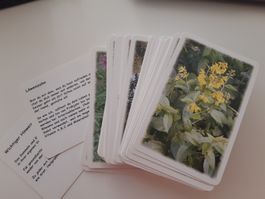 72 Blatt Kartenset Kräuter Seelenkräuter Heilkräuter
