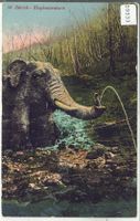 Zürich - Elephantenbach - Litho