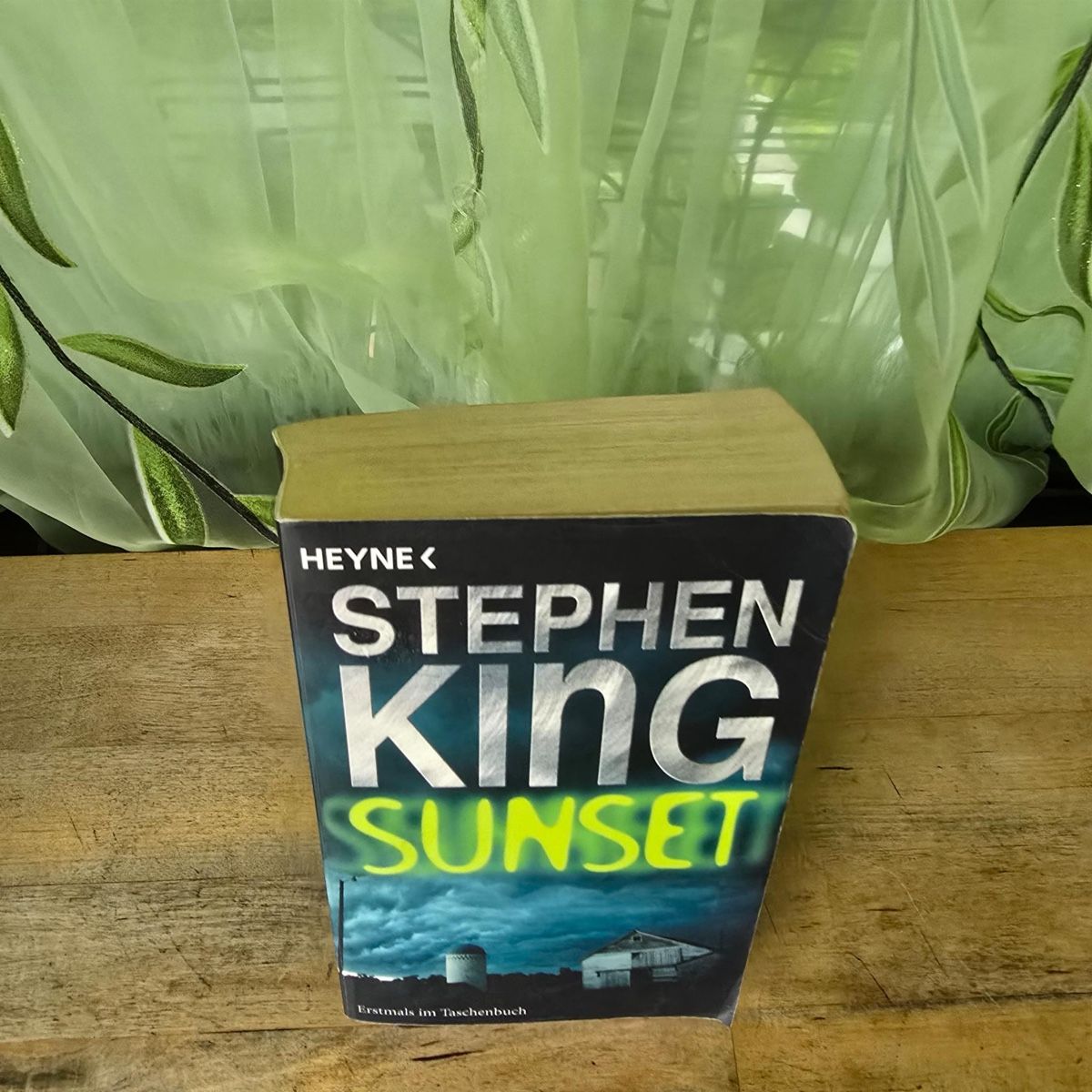 Libri: Sunset von Stephen King – Usato da Merlischachen venduto da Sheavy 2