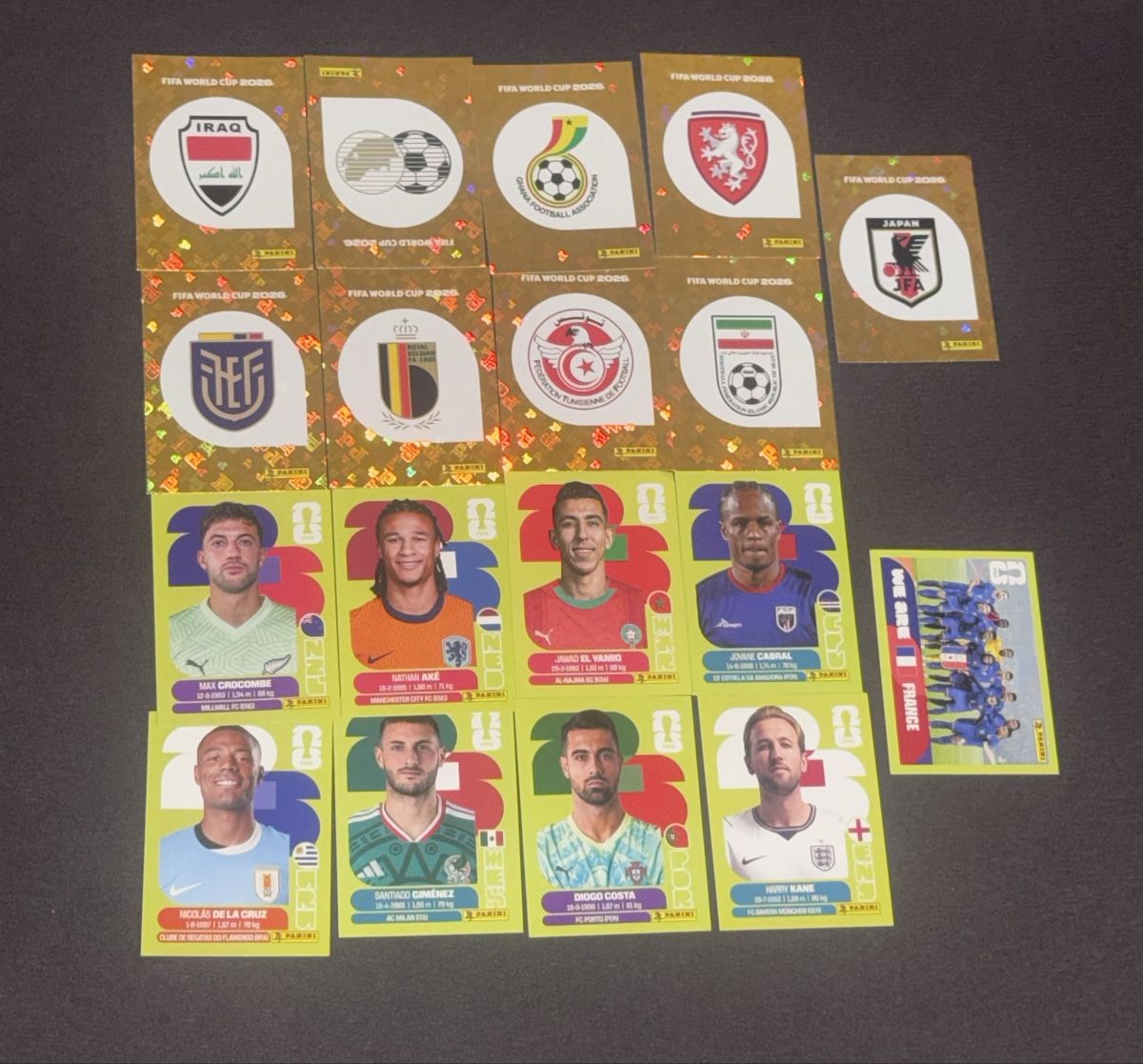 Panini Carte collezionabili: Panini Sticker WM 2026 18 Stück – Nuovo (secondo la descrizione) da Zofingen venduto da Kev_879h