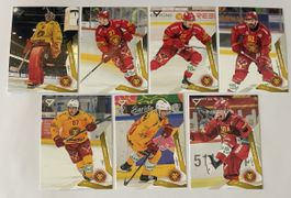 Sportzoo Series 2 25/26 Base Set Langnau komplett lot