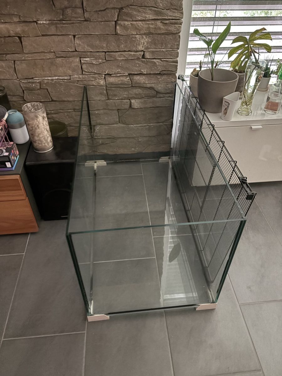 Terrarium: Grosses Nagetier- oder Reptilienterrarium – Gebraucht aus Allschwil von lea_7cyh 1