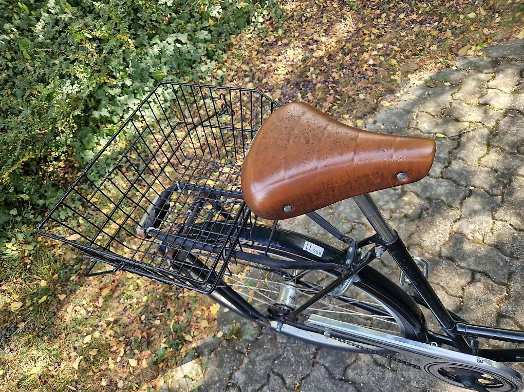 Biciclette: Velo 2-Gang Hollander – Usato da Chur venduto da rob_w92y 1
