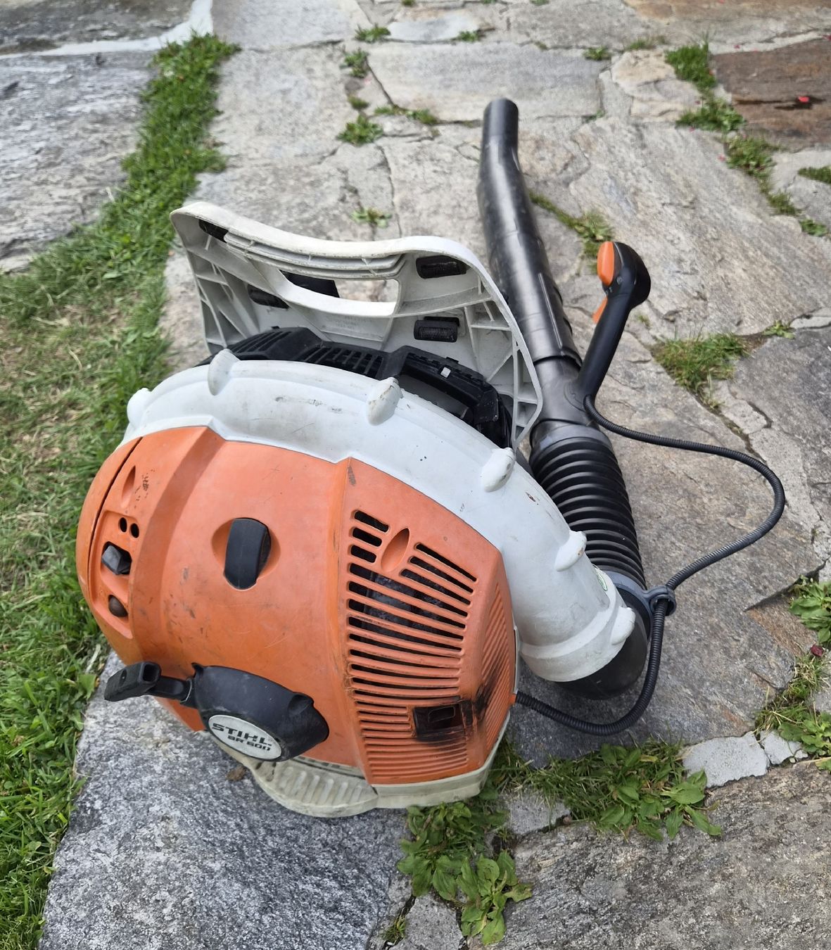 Stihl Aspirateurs & souffleurs à feuilles: Stihl BR 600 – D'occasion à Semione par Valerio1997
