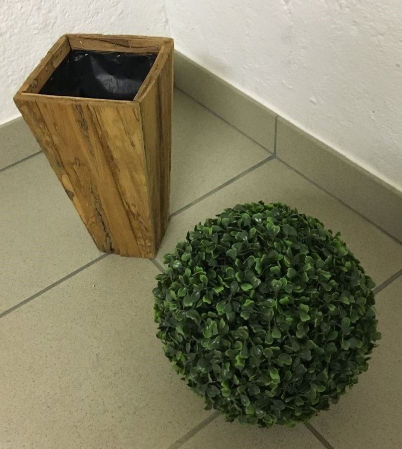 Piante & sementi: Holz Topf mit Buchs Kugel ... – Nuovo (secondo la descrizione) da Chur venduto da Jacki09 1