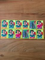 Panini Mexiko