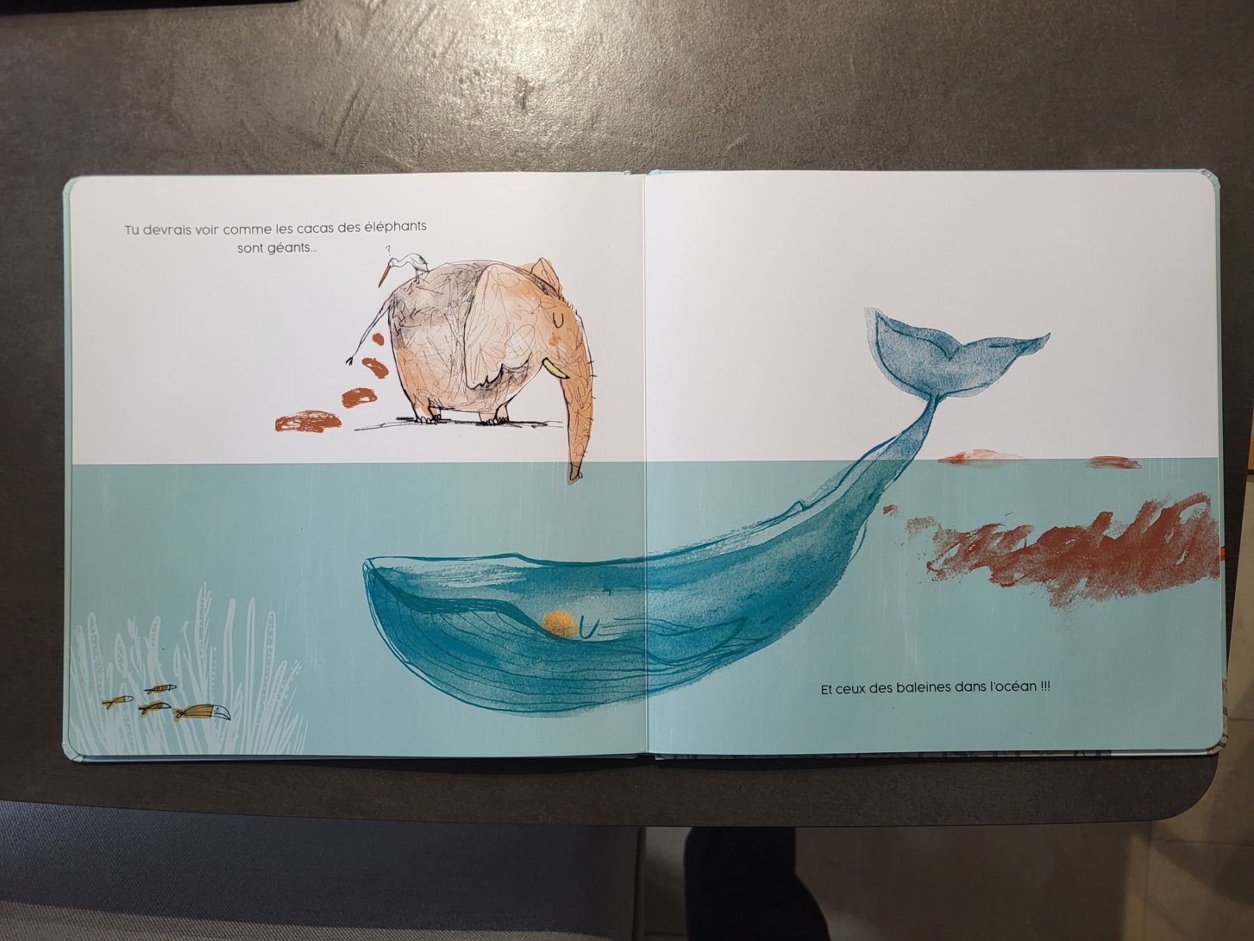 Libri: Livre Tout ce que je sais sur les cacas – Usato da Gampelen venduto da cli_2thg 2