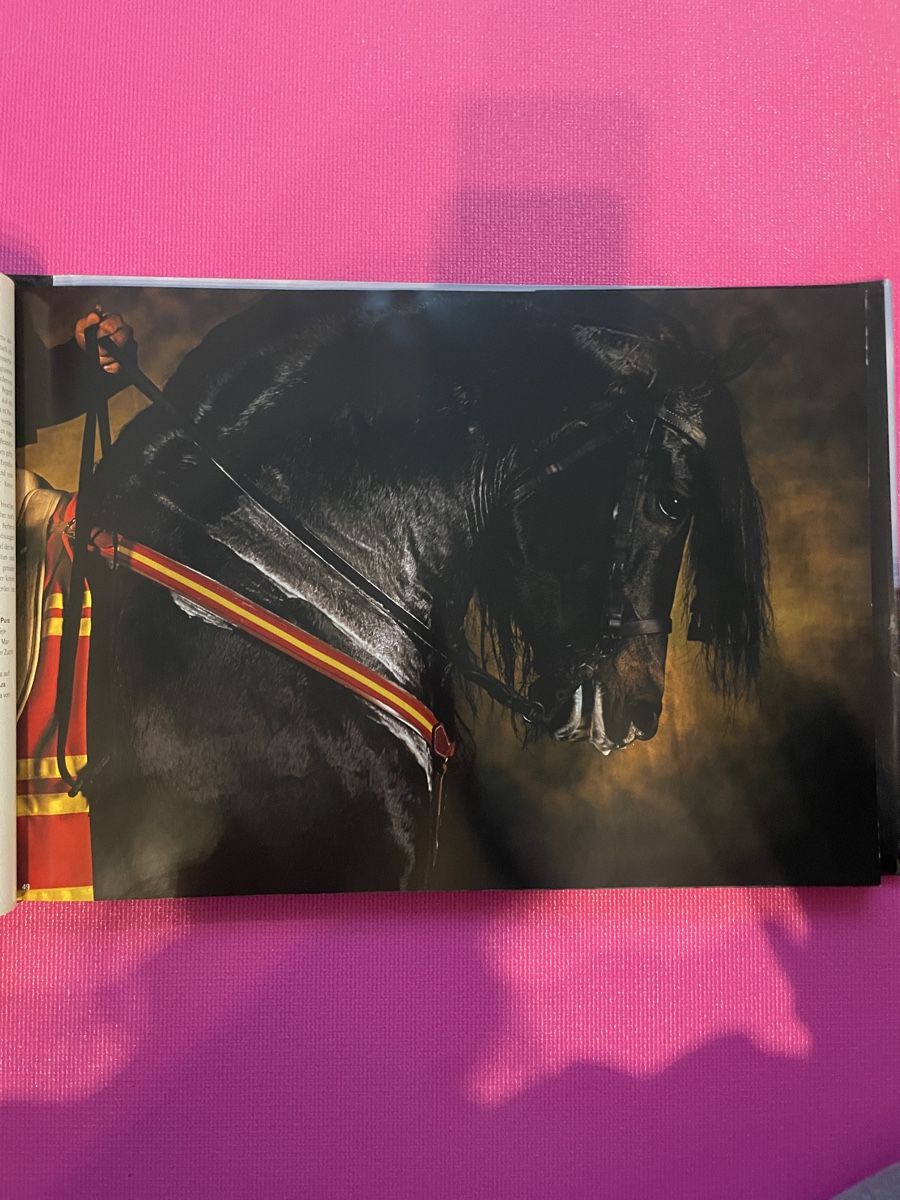 Libri: Pferde: Yann Arthus-Bertrand Bildband – Usato da Einsiedeln venduto da loubi02 2