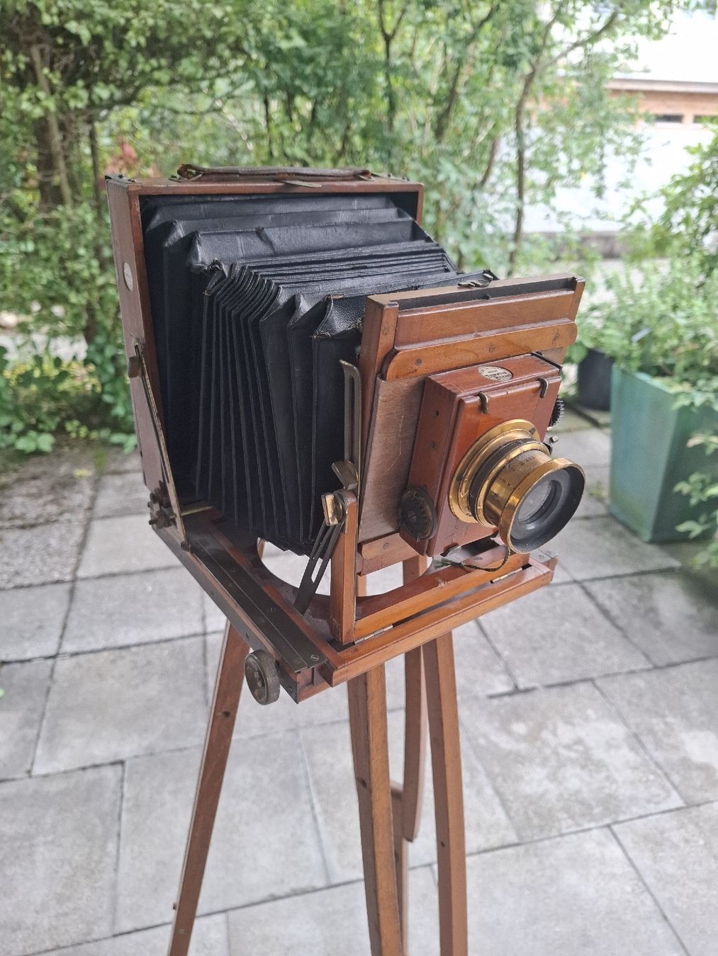 Fotocamera: Antike Thornton-Pickard Holz-Plattenkamera – Difettoso da Horw venduto da Supervannie