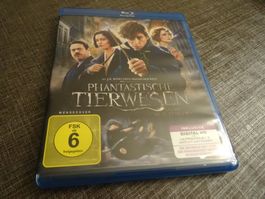 Phantastische Tierwesen und wo sie zu finden sind Blu-ray