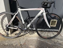 Rennvelo Scott Adict Gröss S (52)