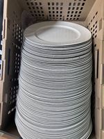 81 grandes assiettes en plastique blanc 