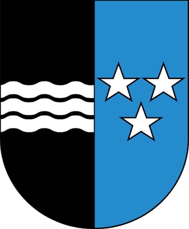 Insegne: Kontrollschild AG – Usato da Gebenstorf venduto da Suisse1956