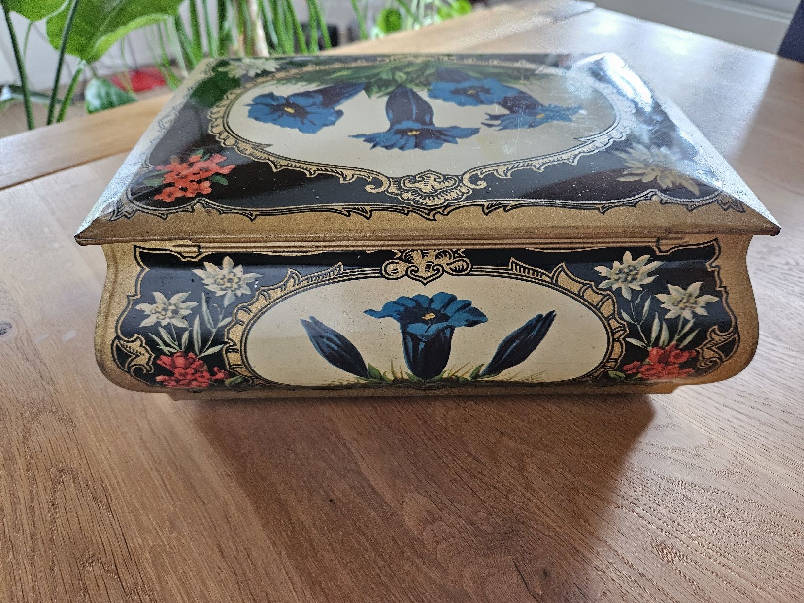 Tutte le decorazioni: Blechdose von der Blechwarenfabrik Gebrüder Hoffmann, Thun – Usato da Rüti ZH venduto da Moli8 4
