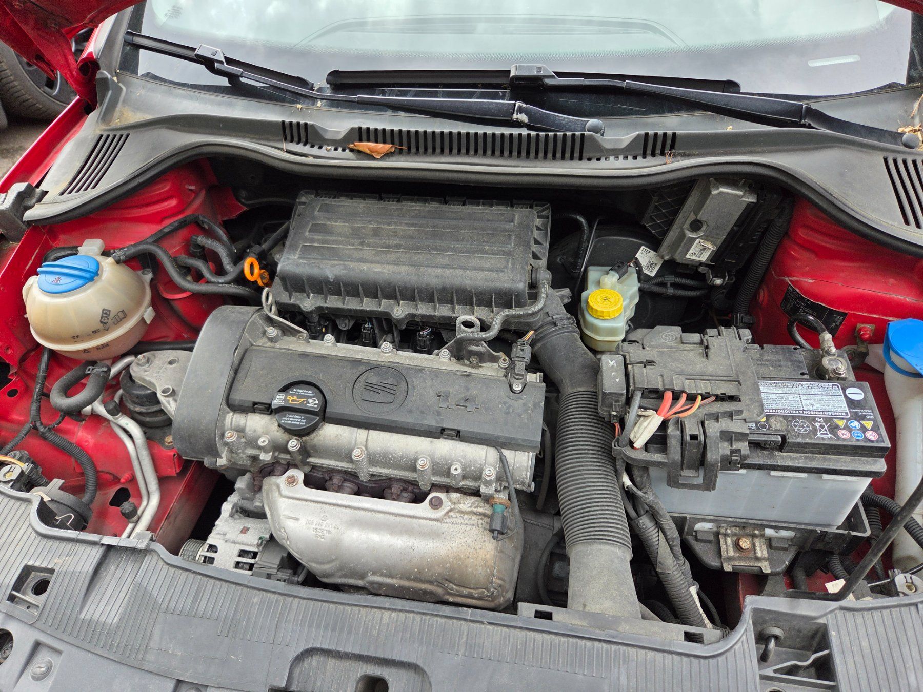 Seat Automobili: Seat Ibiza – Usato da Oberdiessbach venduto da R1.MK4 8