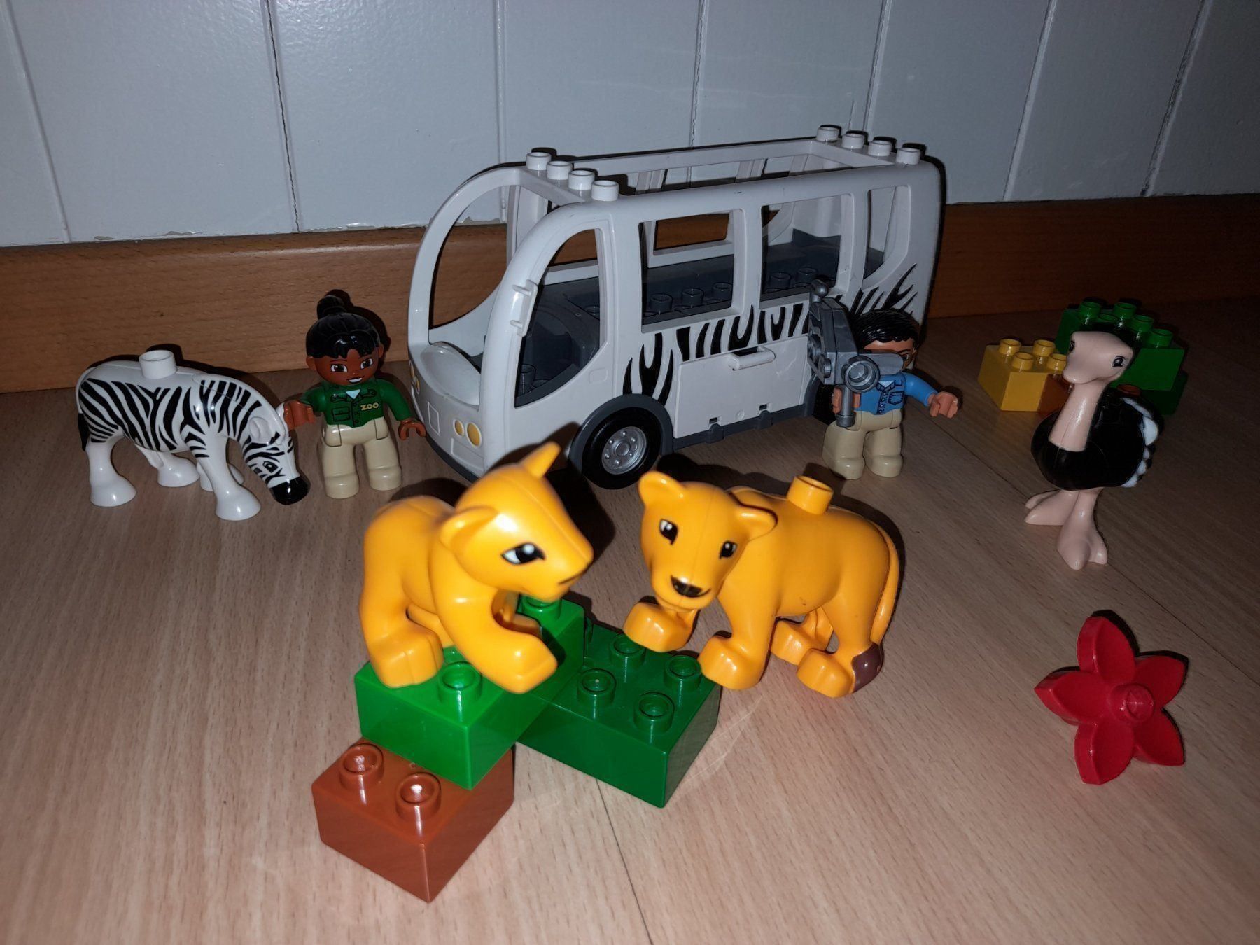 Lego Giocattoli: Lego Duplo Safari Bus 10502 – Usato da Wittenbach venduto da Gugielmo 2