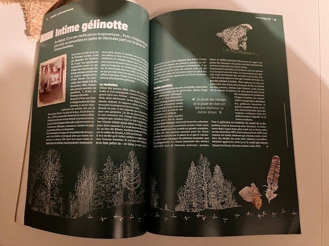 Riviste & Magazine: Revue La Salamandre - la gélinotte – Usato da Les Ponts-de-Martel venduto da Jolisa 5
