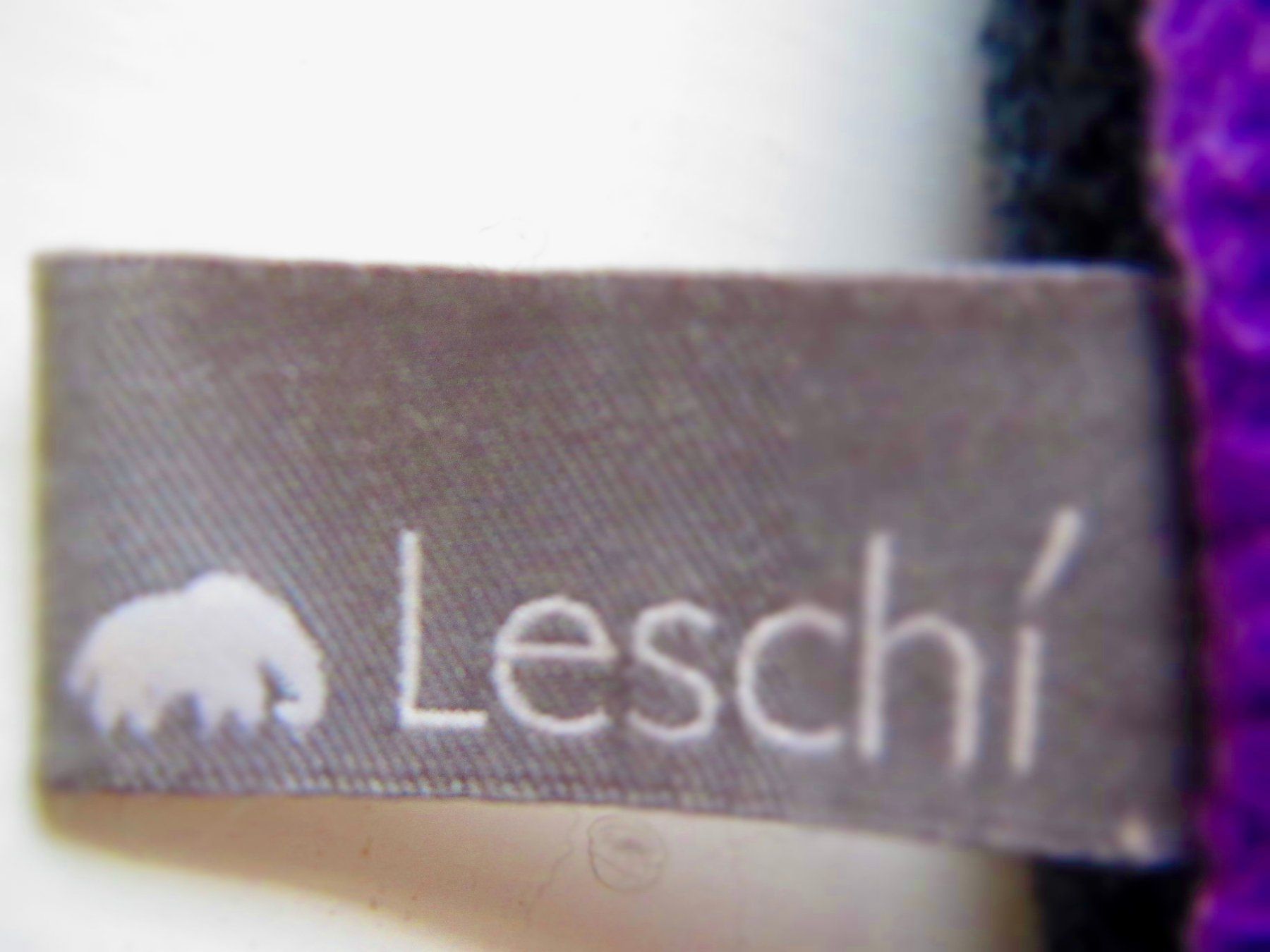 Cuscini: CHAT LESCHI COUSSIN CHAUFFANT – Usato da Murten venduto da Selliot 2