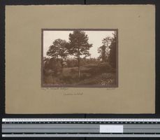 Fotografie Georg Friedrich Leonhardt, St