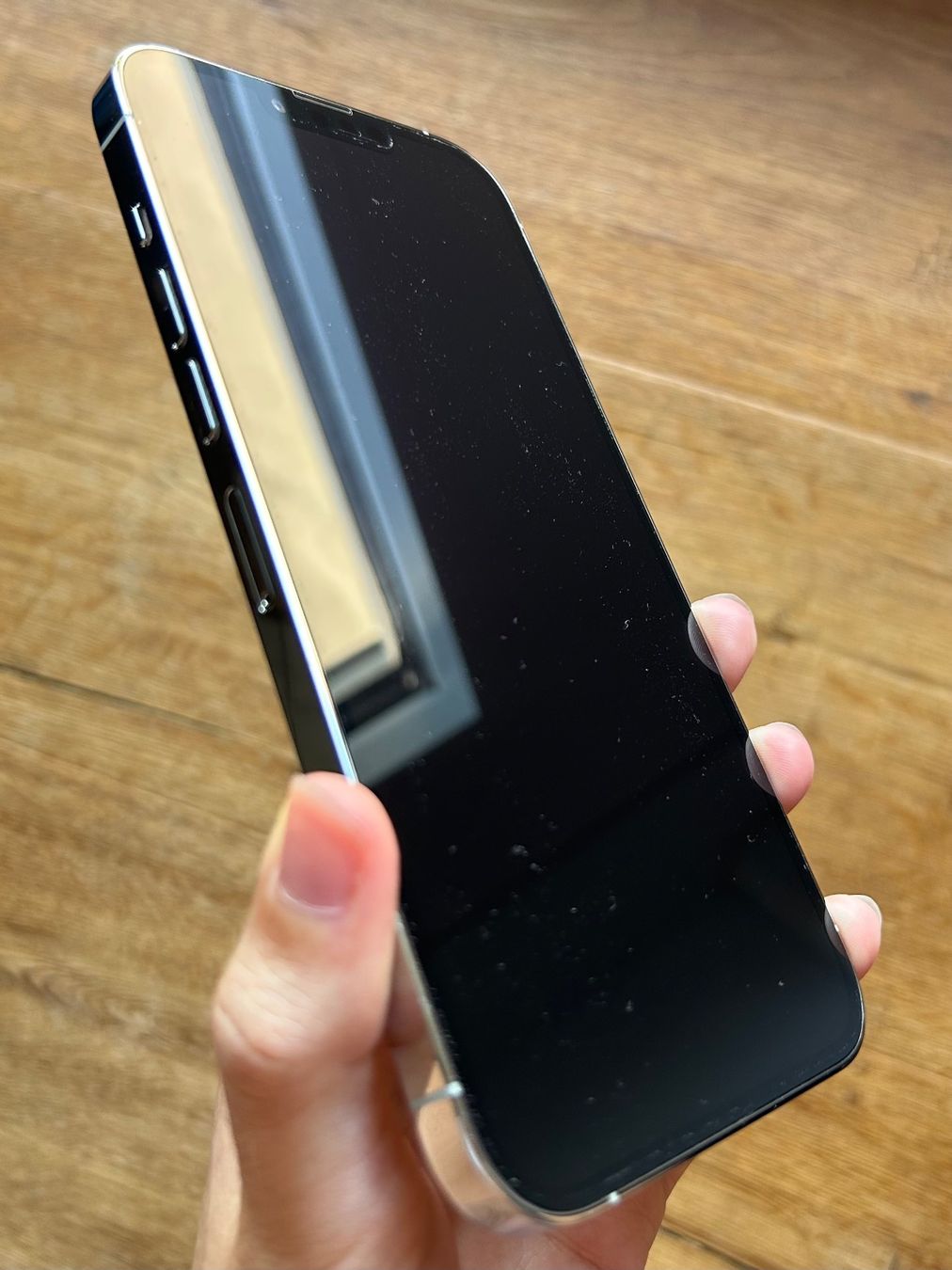 Apple Portables: iPhone 13 Pro Max silber 265GB – D'occasion à Amden par pia_q2m5 1