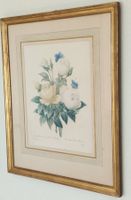 Kunstdruck Bengalische Rose Pierre-Joseph Redouté