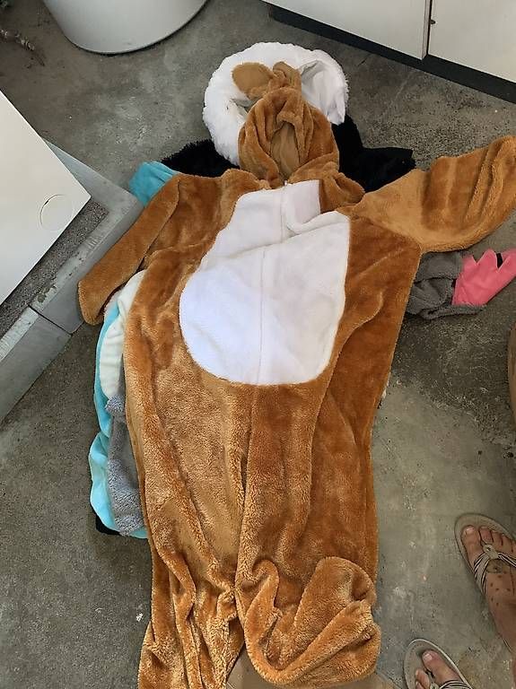 Costumi: Fasnachtskostüme – Usato da Derendingen venduto da alisha09 1
