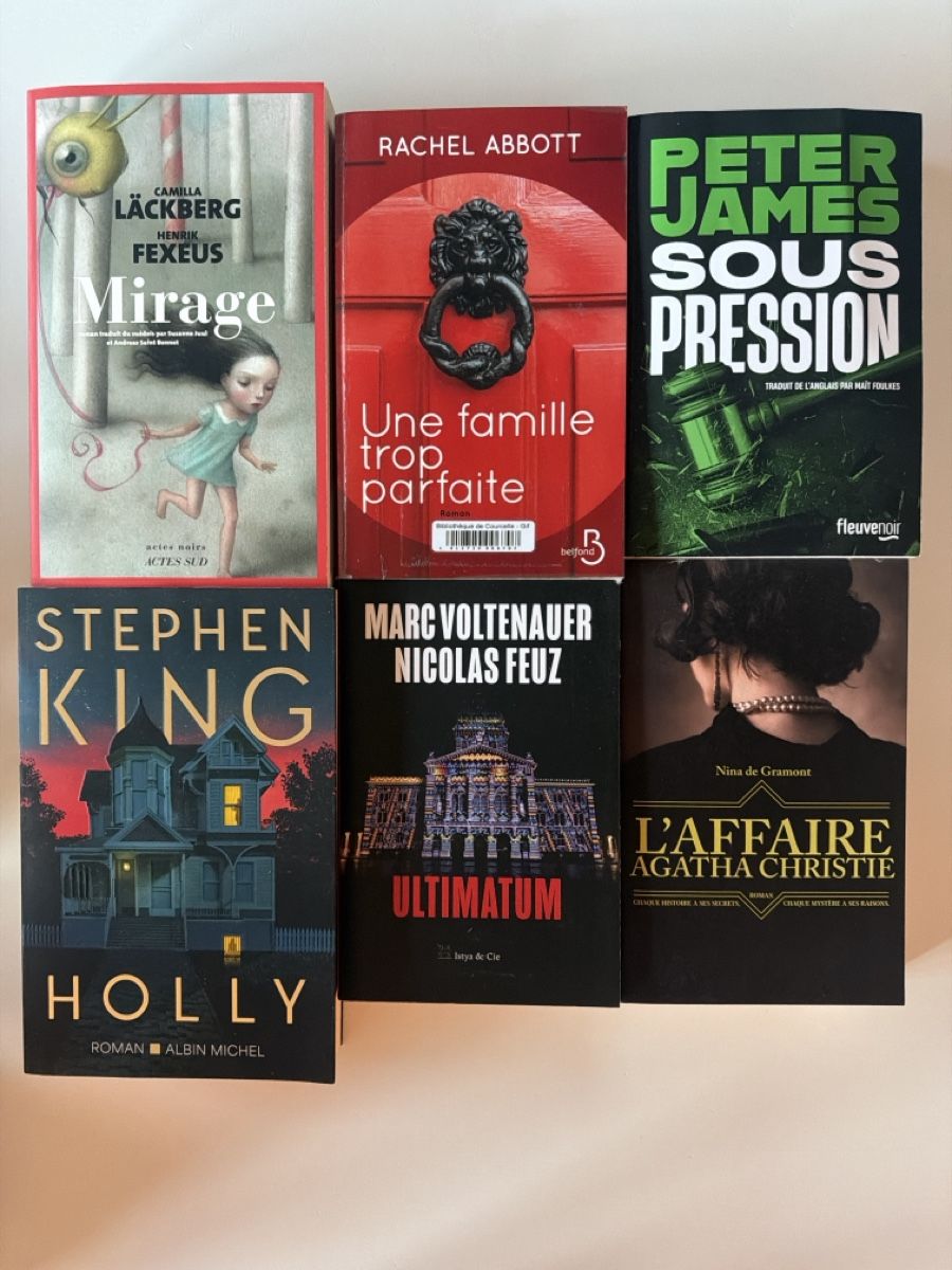 Libri: Lot thriller 6 livres – Usato da Vernayaz venduto da cla_cj7n