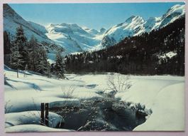 Wintermorgen bei Morteratsch