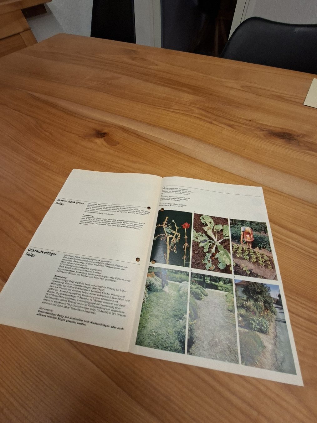 Documenti: Geigy AG Basel Prospekt 1960 – Usato da Ganterschwil venduto da HeidiuPeter 4