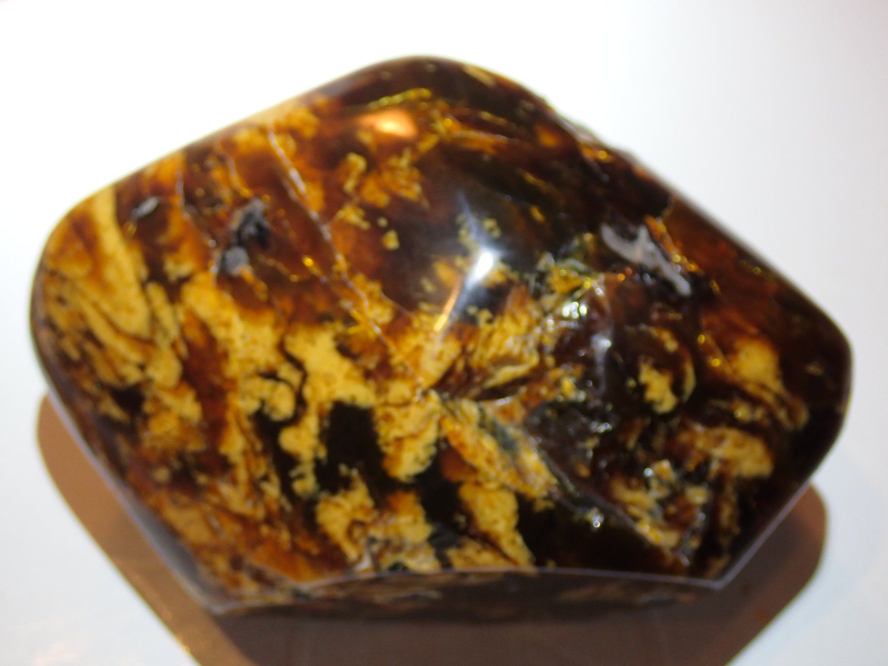 Fossili: Bernstein Indonesien 455 Gramm – Usato da Wallisellen venduto da Mf1000 6