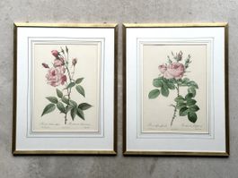 Vintage Set Redouté Rosen-Drucke – Druckerei Remond
