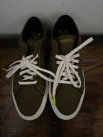 Converse sneakers
