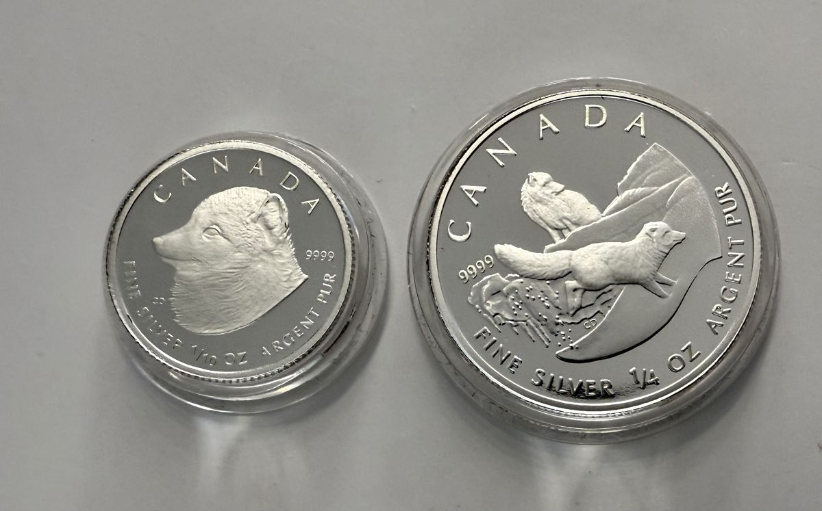 Tutti le monete: 2004 Kanada Arctic Fox Silbermünzen-Set – Usato da Zürich venduto da Circle-9-Coins 3