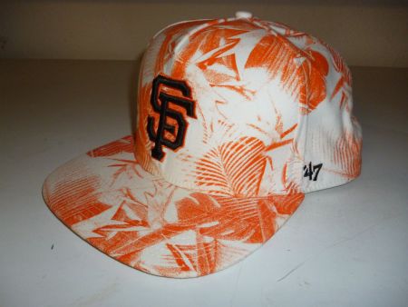 47 CAP