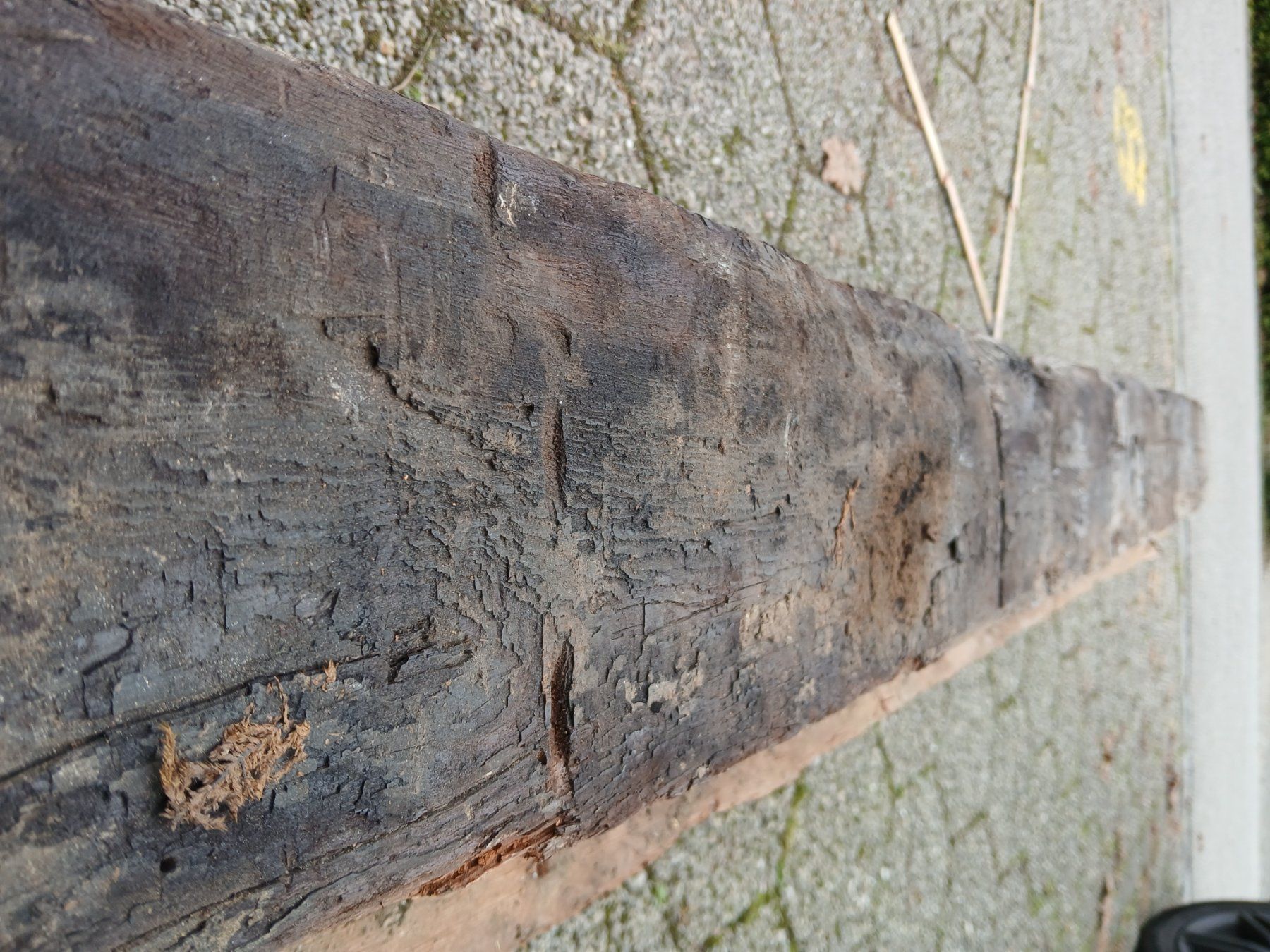 Articoli in legno: Altholzbalken Lärche – Usato da Zuchwil venduto da pedu79 5