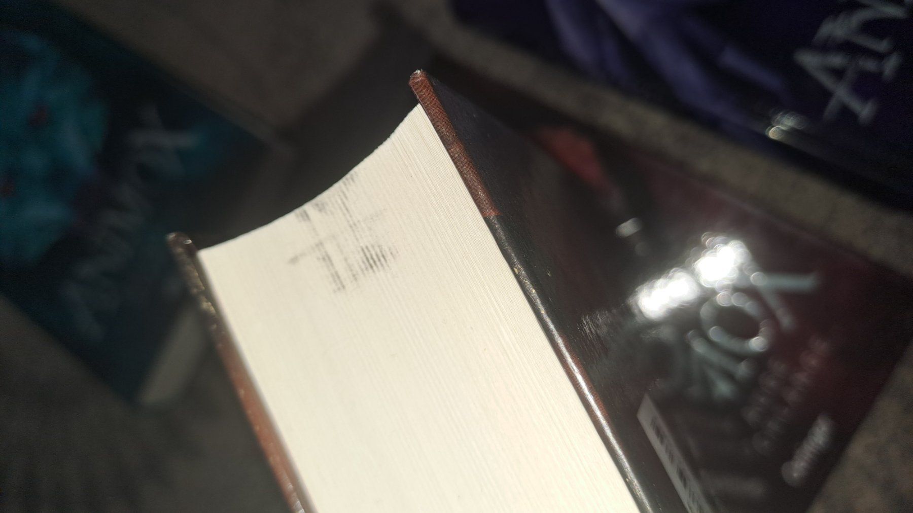 Libri: Animox Band 1, 2, 3, 4, 5 und 8 – Usato da Zürich venduto da mili021 2