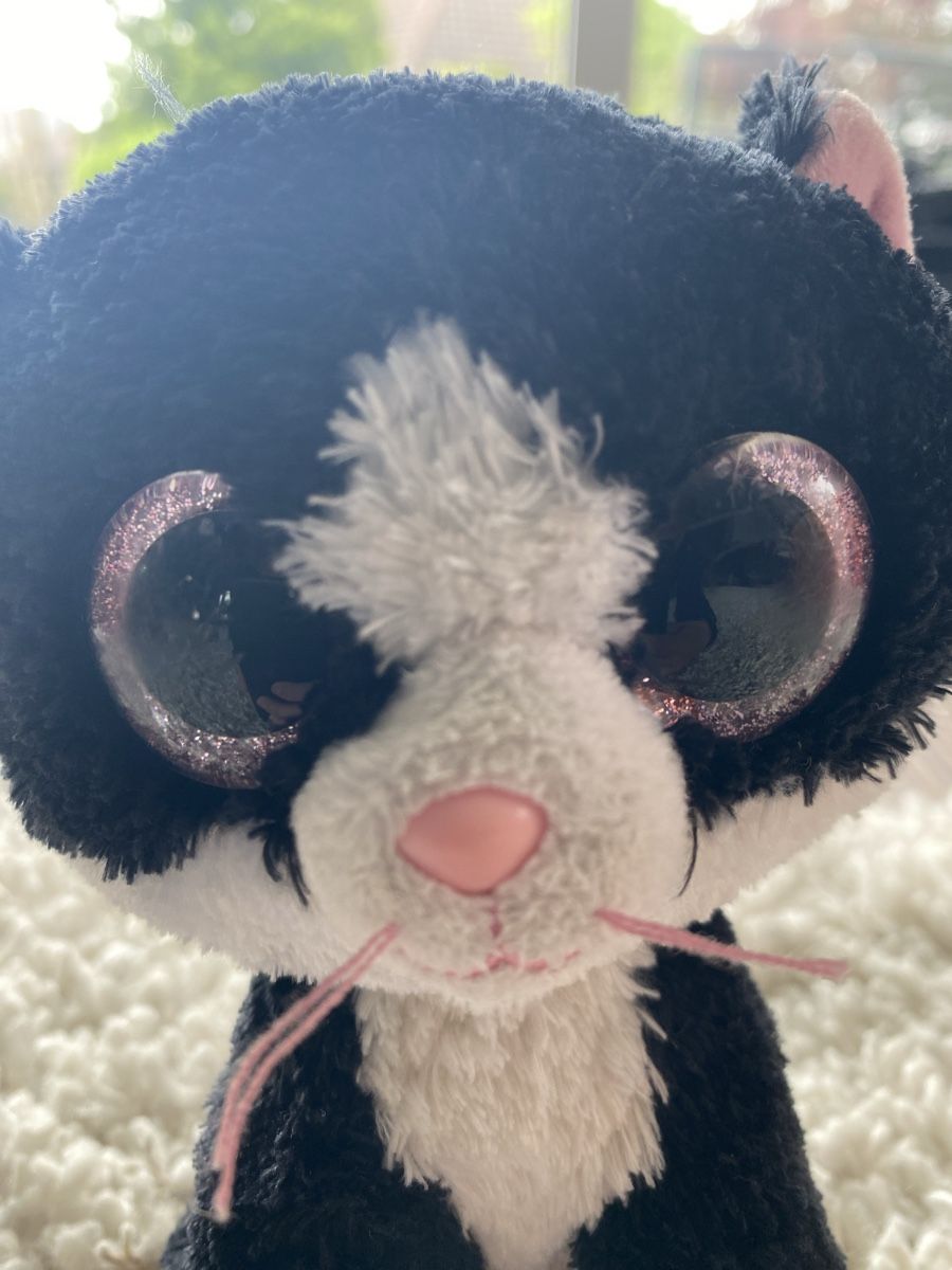 Giocattoli: Beanie Boo Katze Pampered, Glitzeraugen – Usato da Uttigen venduto da edicomedy 2