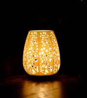 Elegante Voronoi Lampe