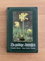 Bärndütschi Gschichte: Ds guldige Schlüsseli, Schenker-Brech