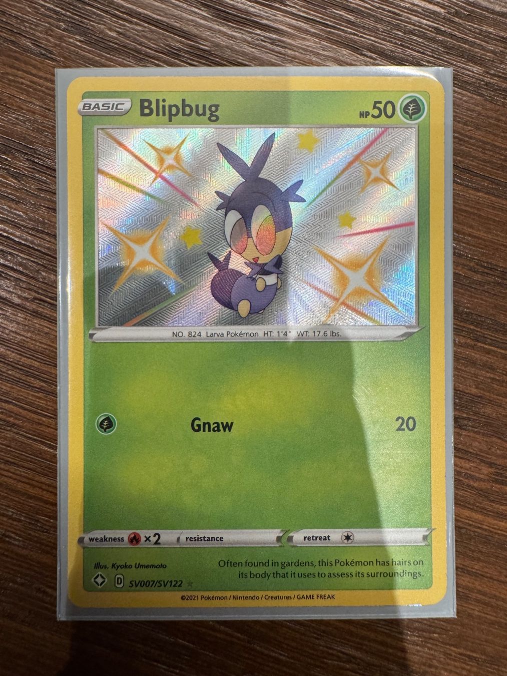 Pokémon Carte collezionabili: Blipbug Pokemon SV007/SV122 – Nuovo (secondo la descrizione) da Winterthur venduto da hershanking