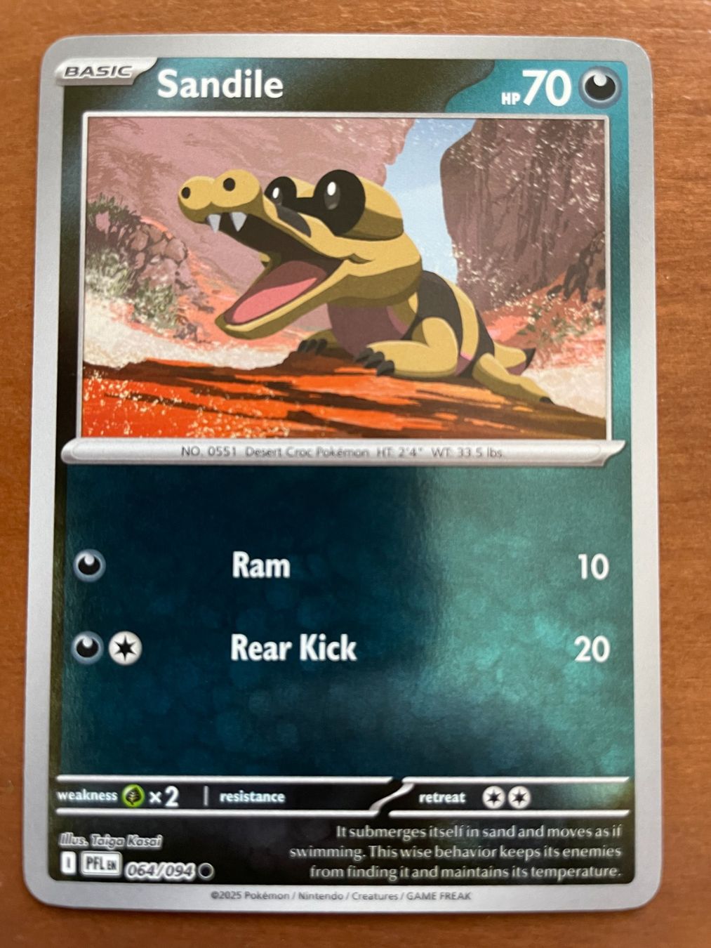 Pokémon Carte collezionabili: Pokemon Sandile Reverse (Versand gratis) – Nuovo (secondo la descrizione) da Chur venduto da Angerson
