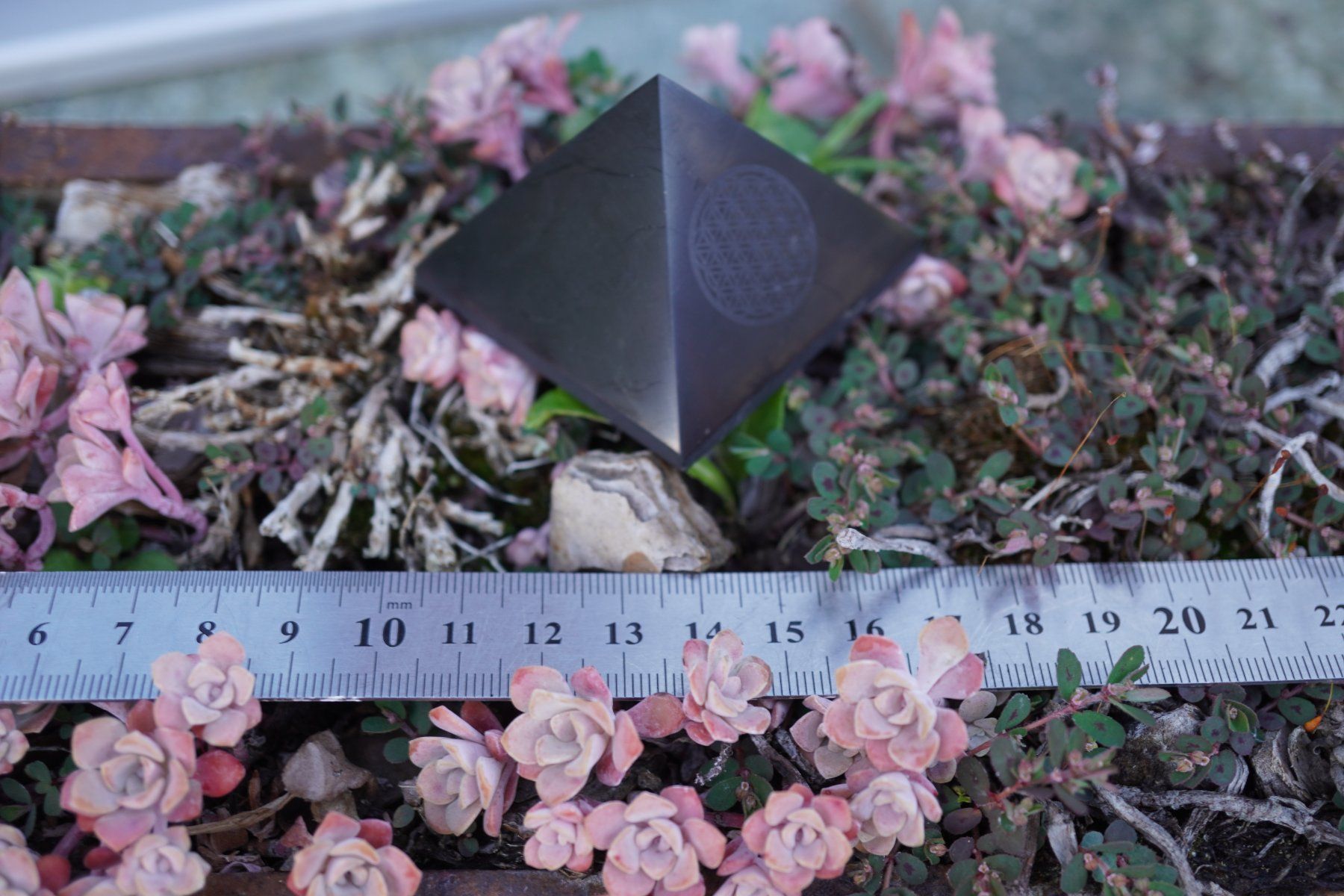 Minerali & Pietre curative: Schungit / Shungit  Pyramide    5cm Blume Dese Lebens Emblem – Nuovo e nell'imballaggio originale da Eschenbach SG venduto da topstone 2