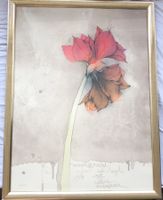 Bruno Bruni (*1935) - Farblithografie - Amaryllis 1985
