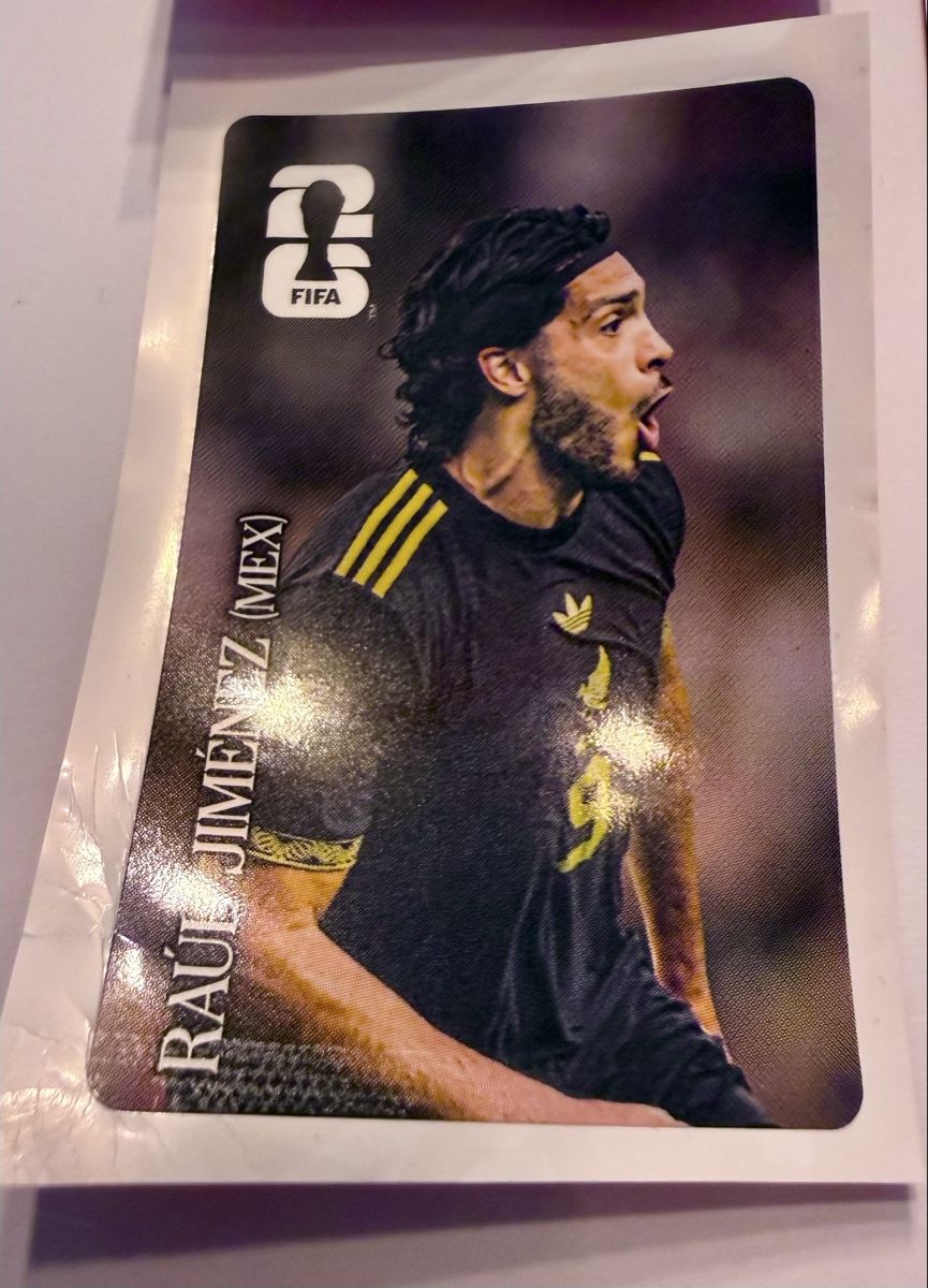 Panini Carte collezionabili: Panini FIFA Sticker Coca-Cola Collection – Nuovo (secondo la descrizione) da Diegten venduto da Guettler01 2