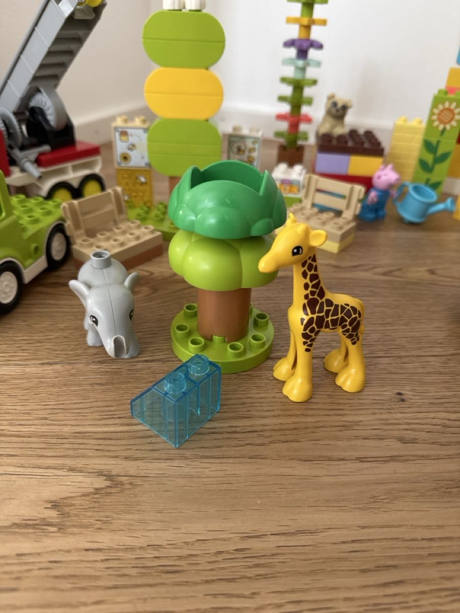 Lego Giocattoli: Lot de duplo avec caisse – Usato da Montreux venduto da canori 4