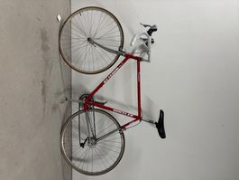 Wheeler Rennvelo - Vintage/Retro, RH60